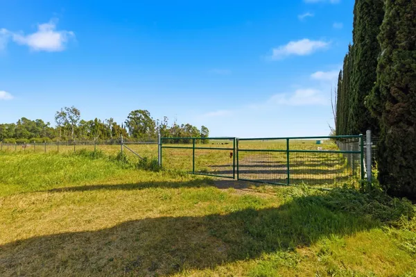 a view of an ocean from a yard