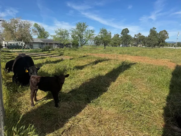 $199,000 | 6924 Eric Lane, Wheatland, CA 95692