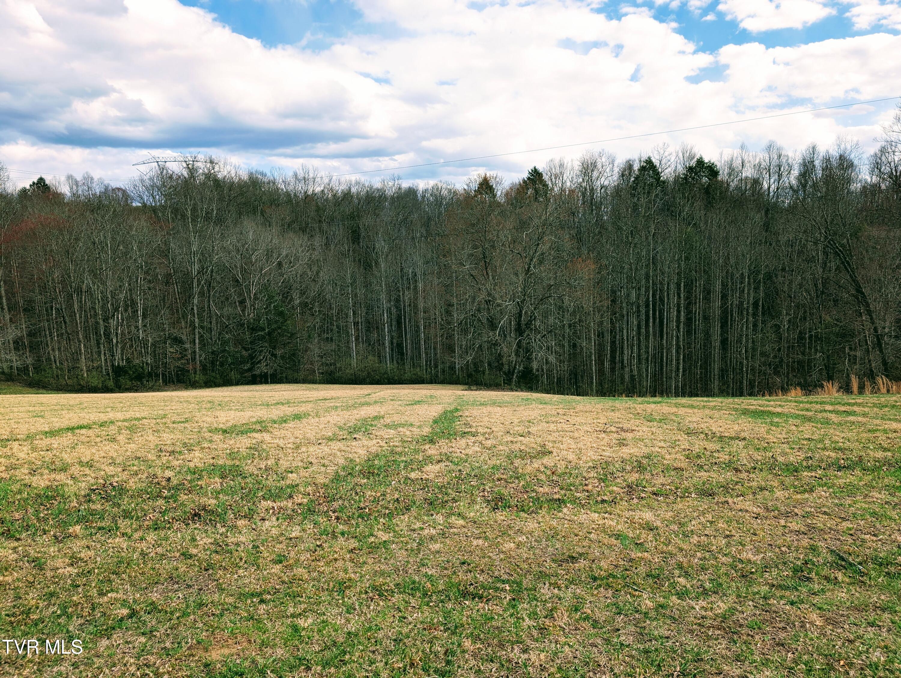 290 Tivis Ridge Haysi, VA 24256 - Photo 17 of 40 1000019083