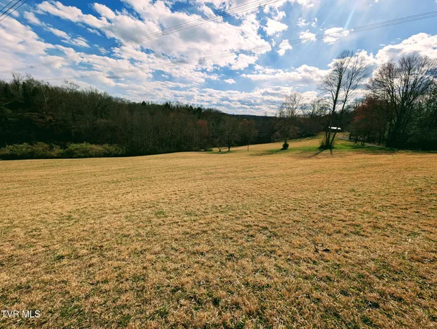 $190,000 | 290 Tivis Ridge, Haysi, VA 24256