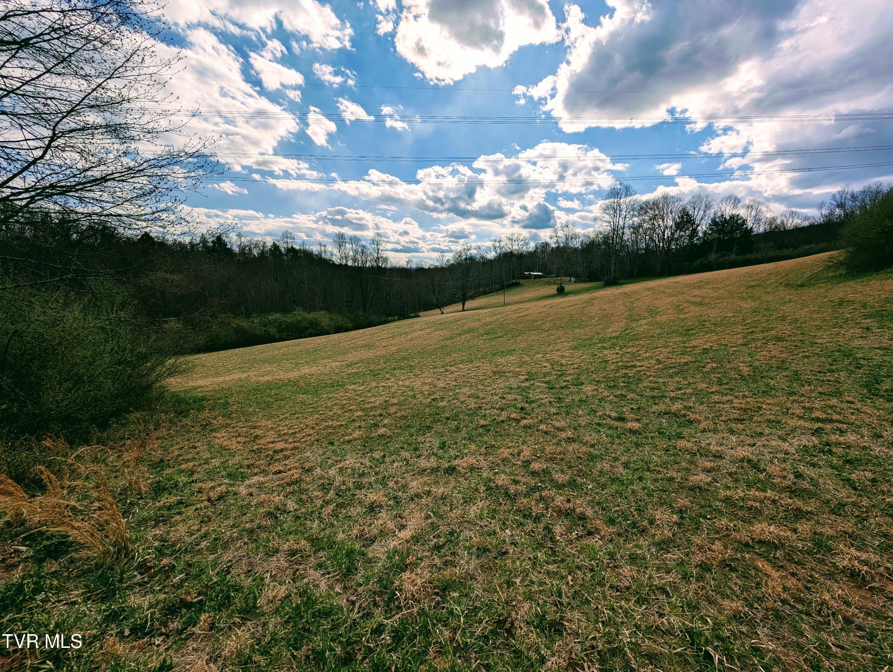 290 Tivis Ridge Haysi, VA 24256 - Photo 22 of 40 1000019089