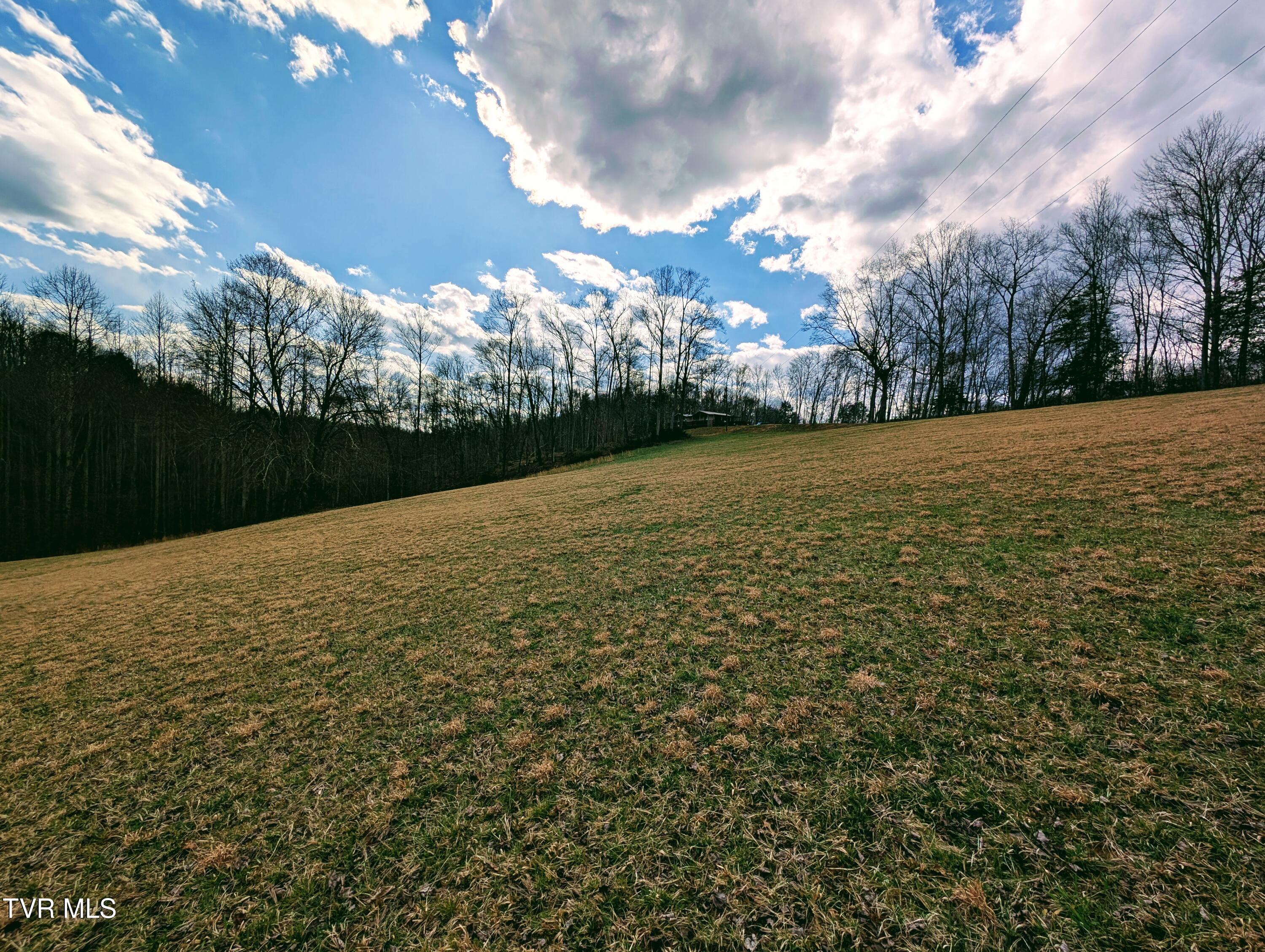 290 Tivis Ridge Haysi, VA 24256 - Photo 23 of 40 1000019091