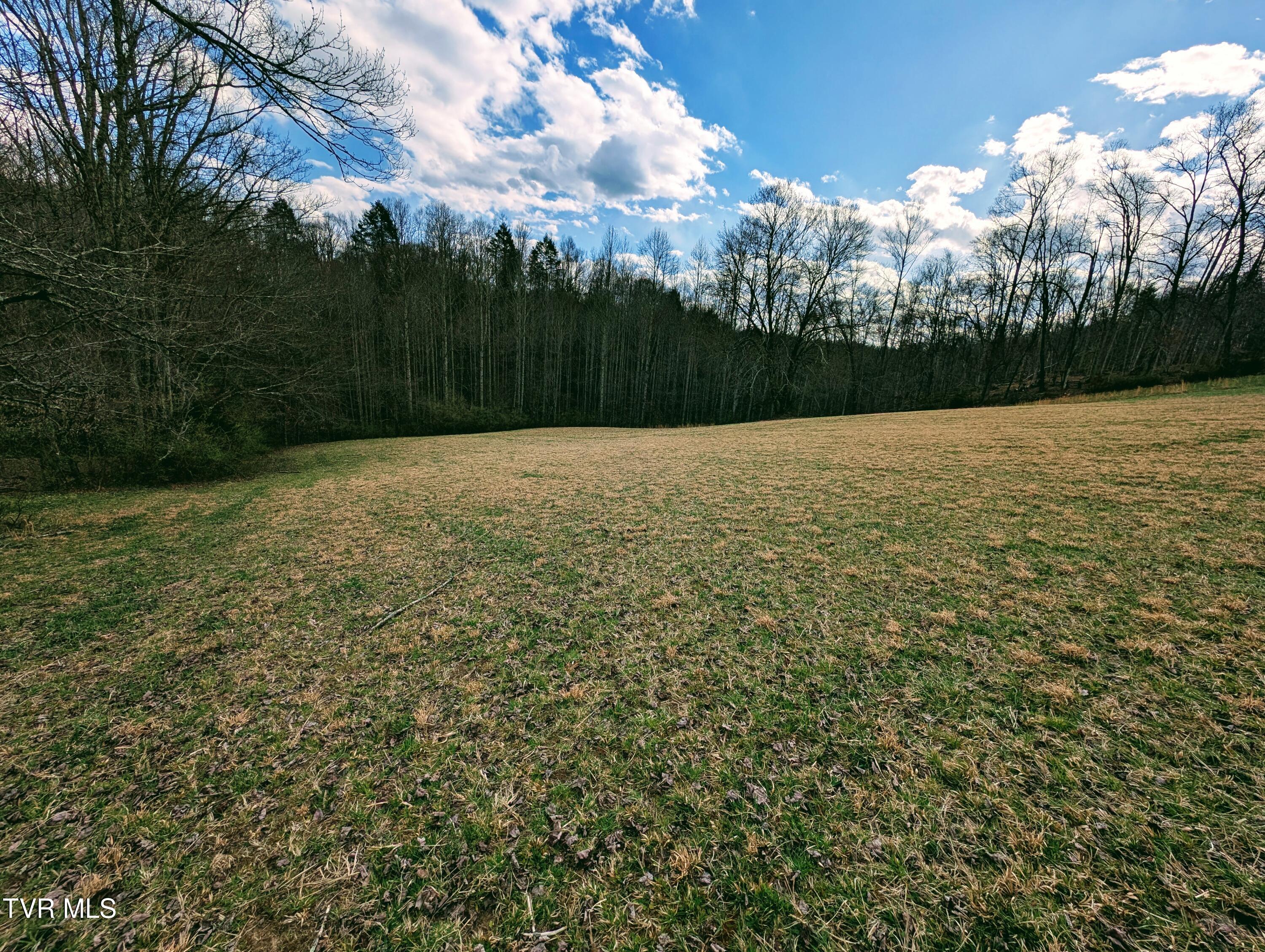 290 Tivis Ridge Haysi, VA 24256 - Photo 25 of 40 1000019093