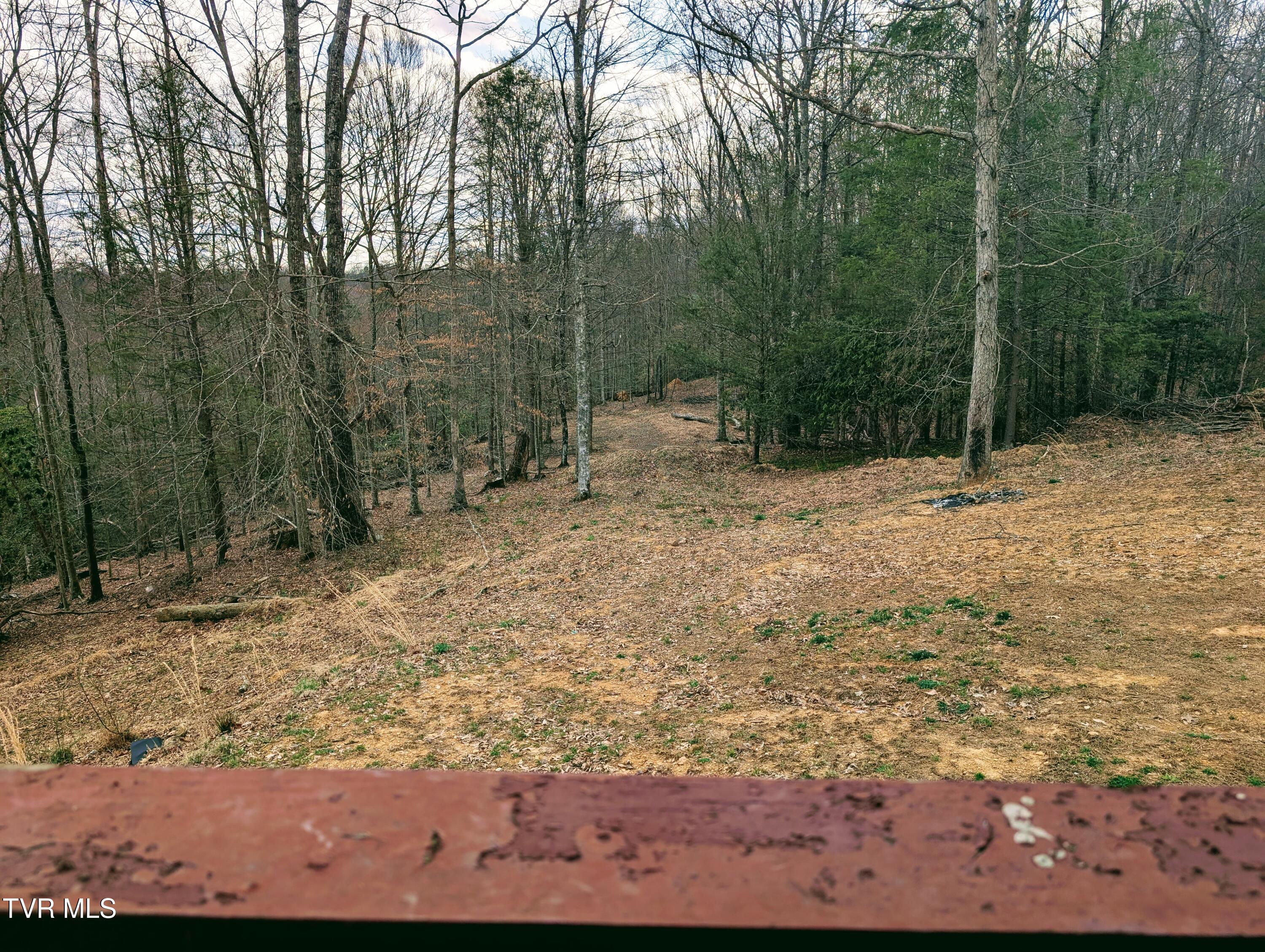 290 Tivis Ridge Haysi, VA 24256 - Photo 8 of 40 1000019070