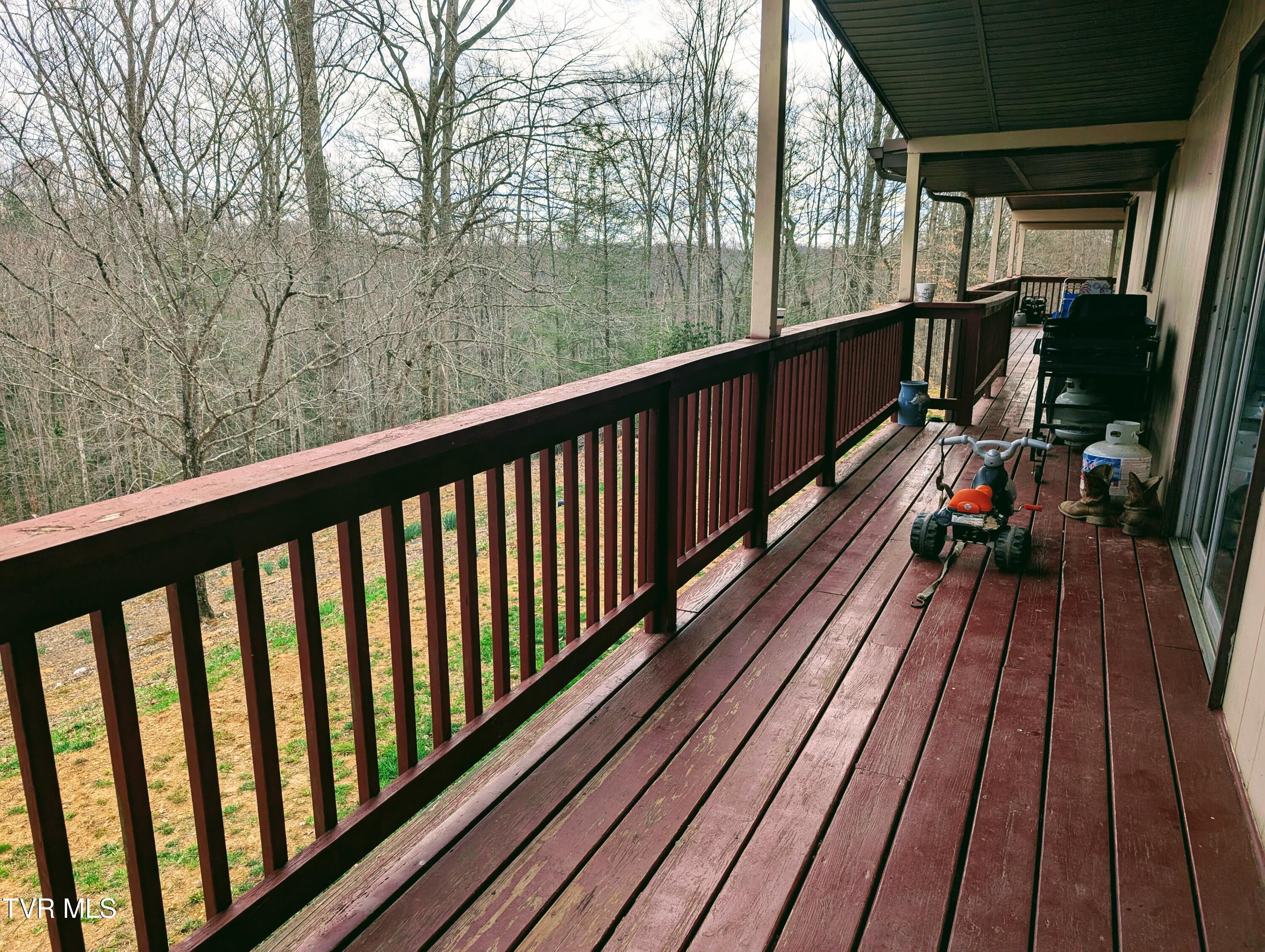 290 Tivis Ridge Haysi, VA 24256 - Photo 9 of 40 1000019067