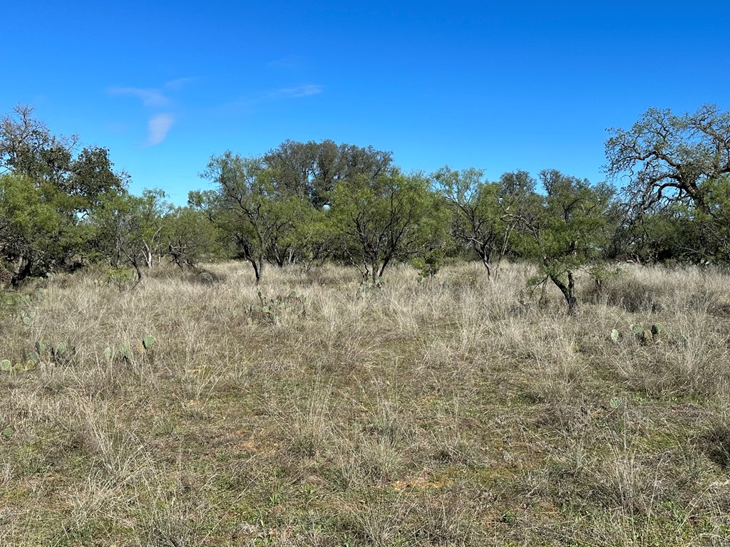 1597 Kothmann Road Art, TX 76820 - Photo 4 of 8 Gallery Image 4