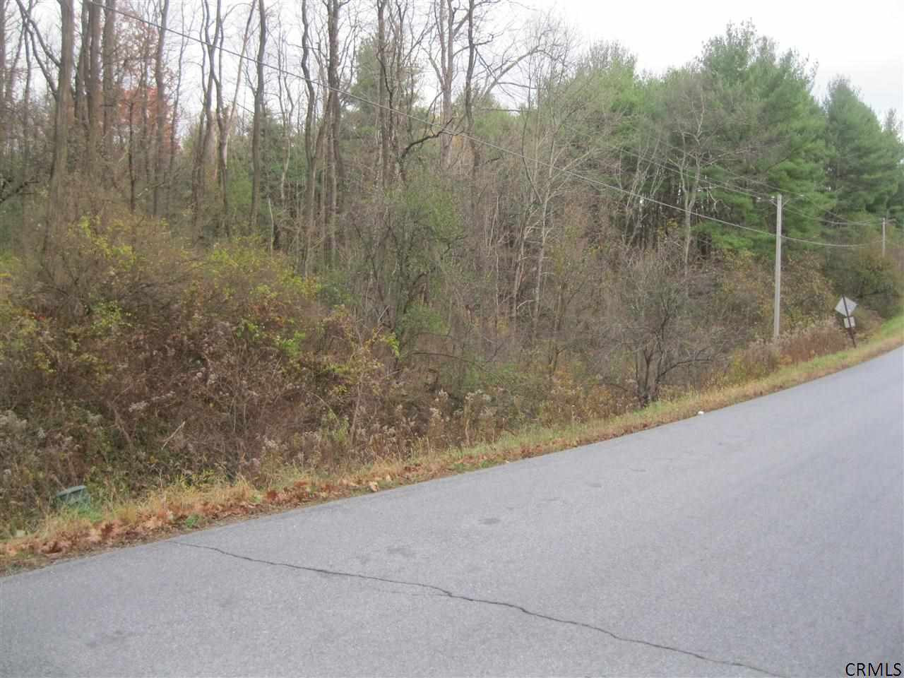 0 Turnpike Road Buskirk, NY 12028 - Photo 3 of 4 Photo 3