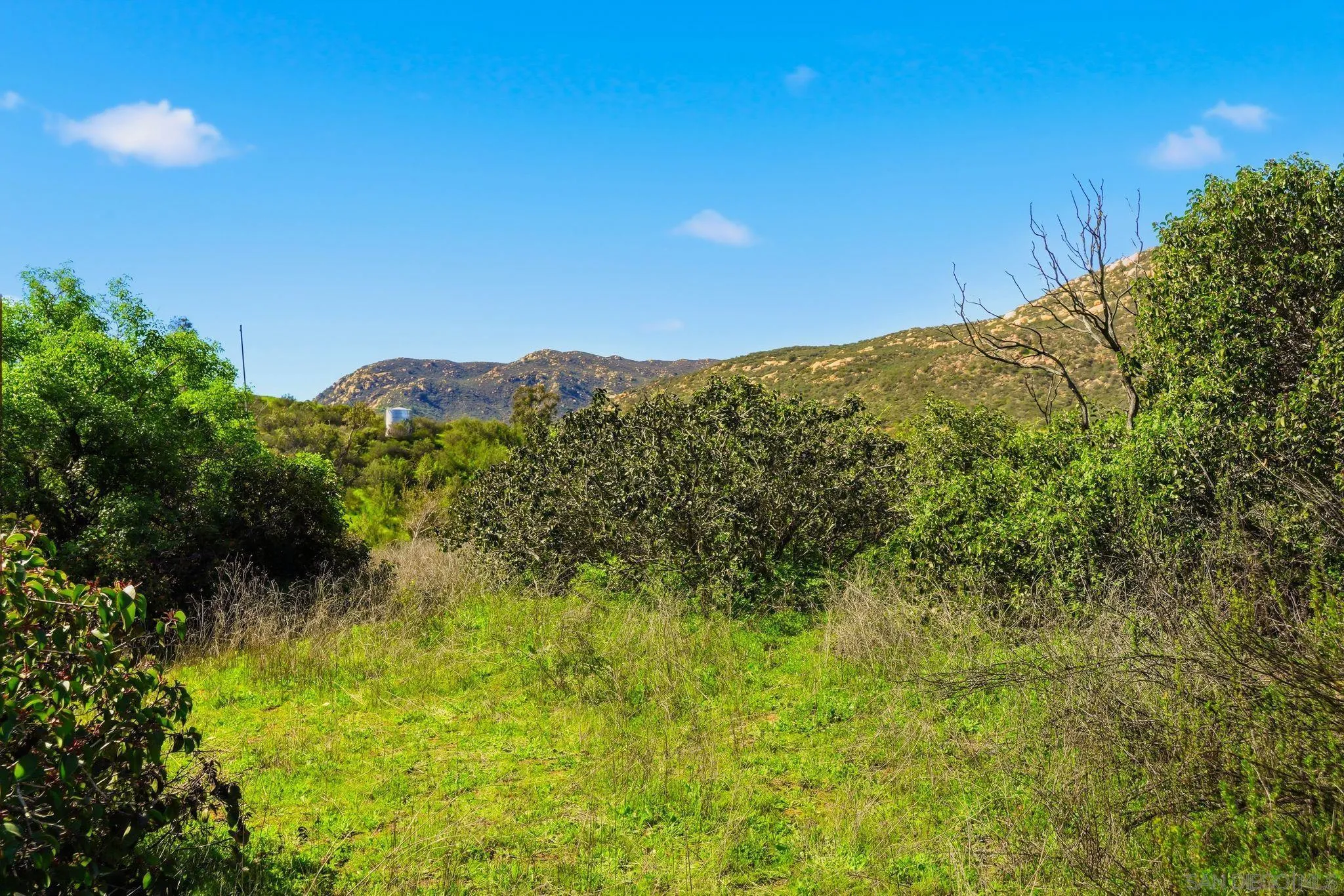 432 Arnold Way, Unit B Alpine, CA 91901 - Photo 8 of 14