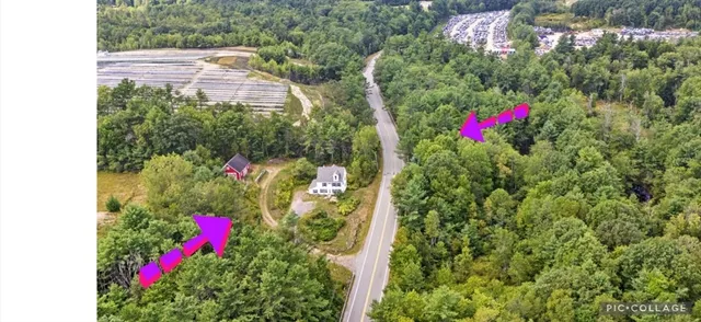 a view of a flower arrangement in a garden