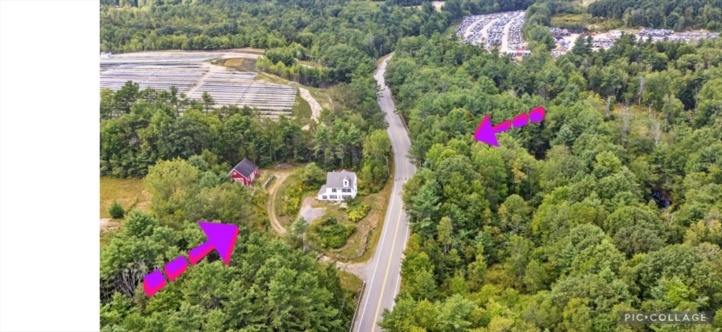 a view of a flower arrangement in a garden