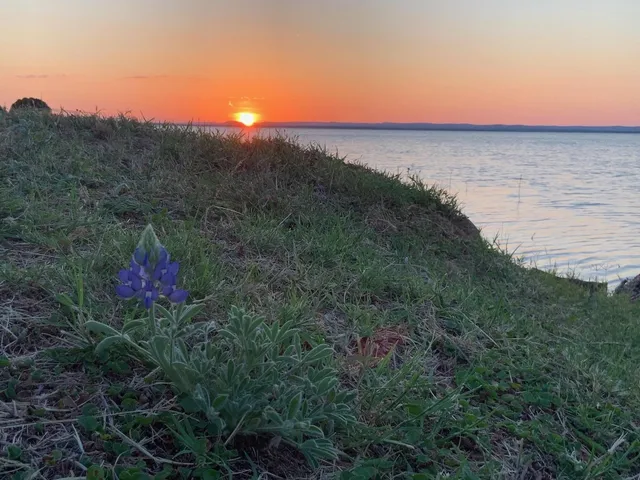 $814,900 | 724 South Chaparral, Burnet, TX 78611