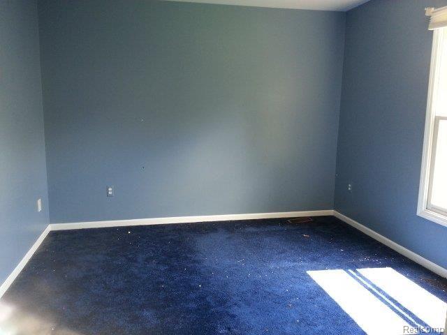 4236 Calumet Drive Rochester, MI 48306 - Photo 27 of 30 20130813_142951.jpg