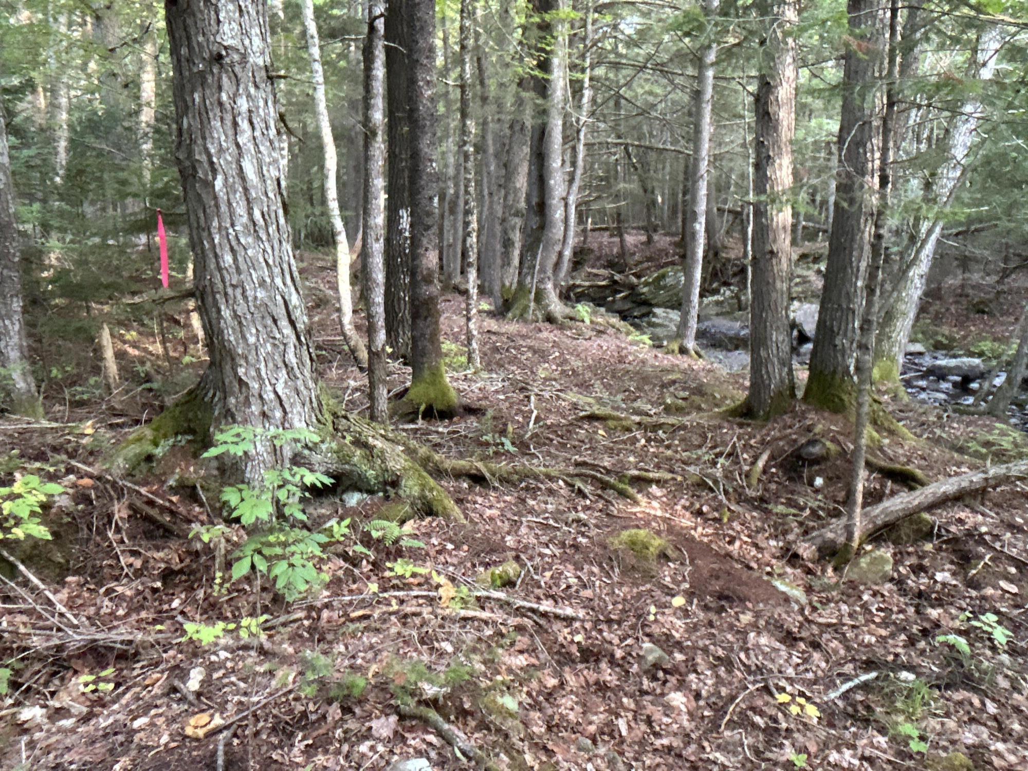 M4-l14 Village Road Jackson, ME 04921 - Photo 19 of 37