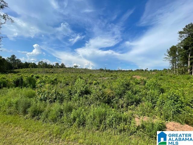 16 County Road, Unit TRACT 1 60 Roanoke, AL 36274 - Photo 1 of 4