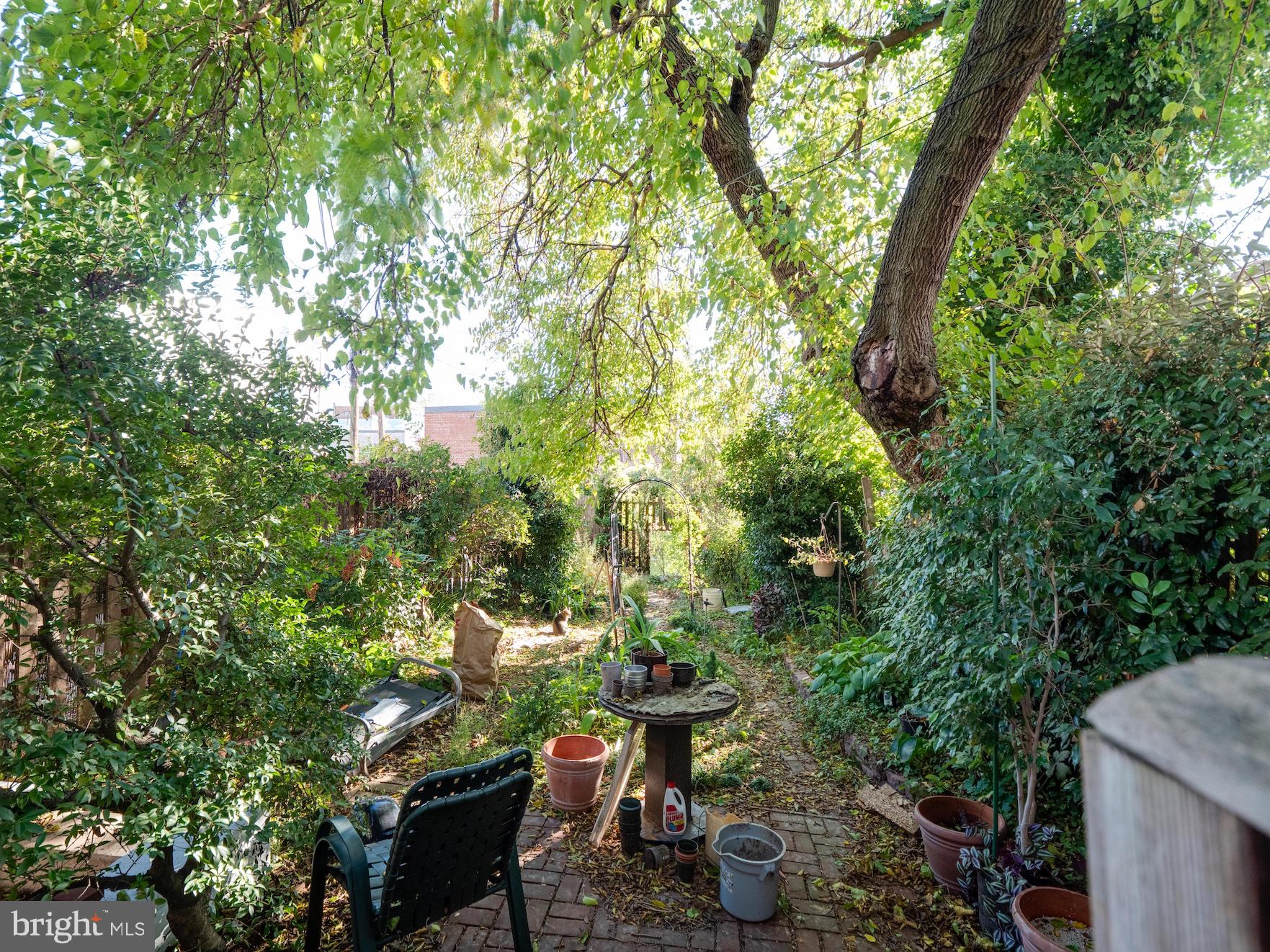 1105 D Street Southeast Washington, DC 20003 - Photo 23 of 33