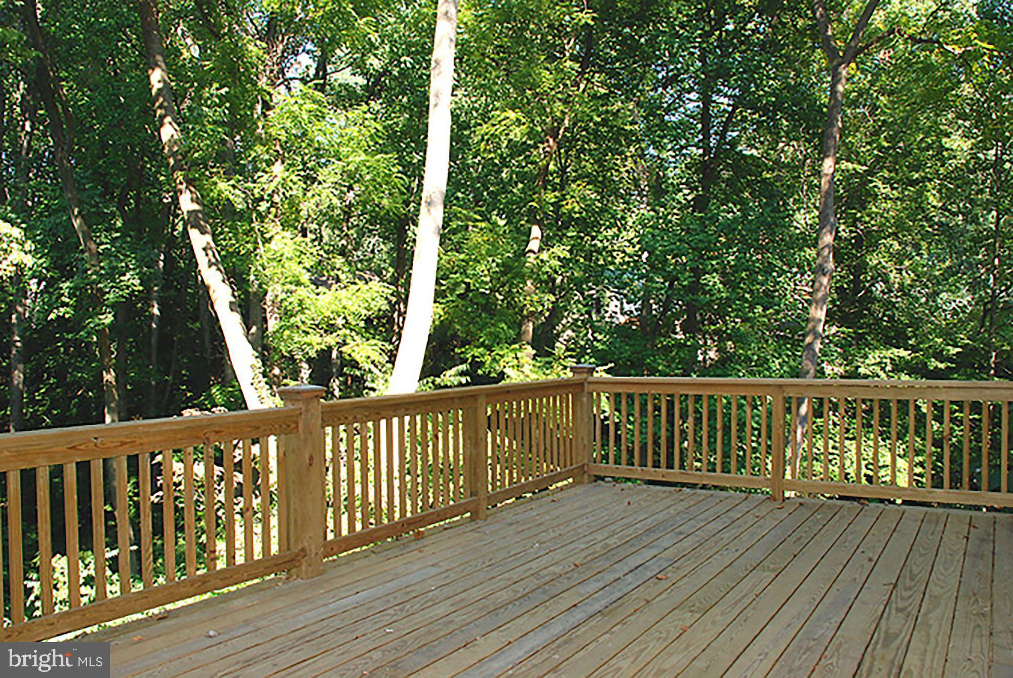 6217 Winnebago Road Bethesda, MD 20816 - Photo 26 of 30 Main Level Deck