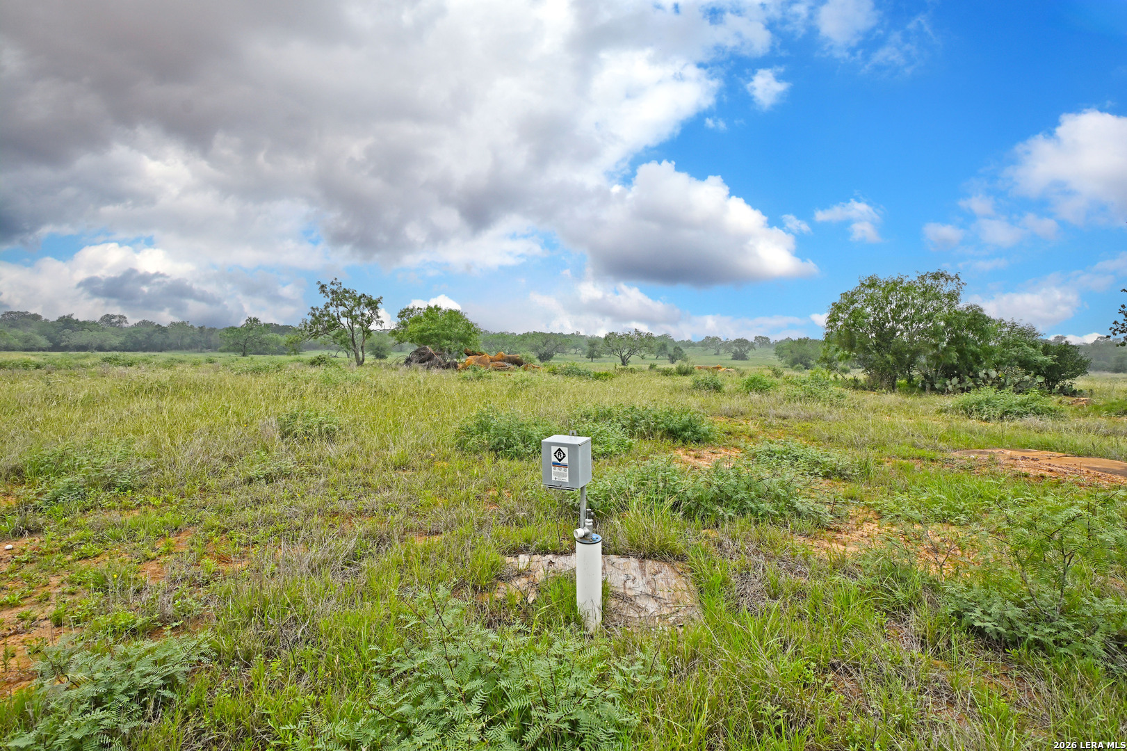 1335 North Gable Road St. Hedwig, TX 78152 - Photo 20 of 25