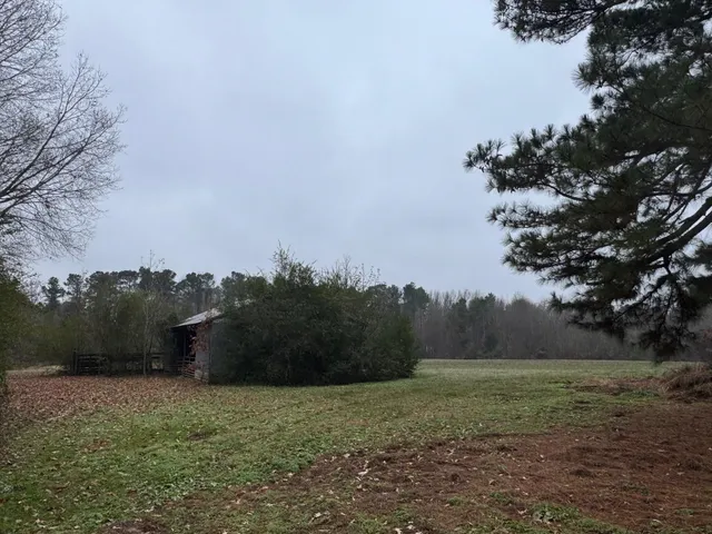 a big yard with lots of green space