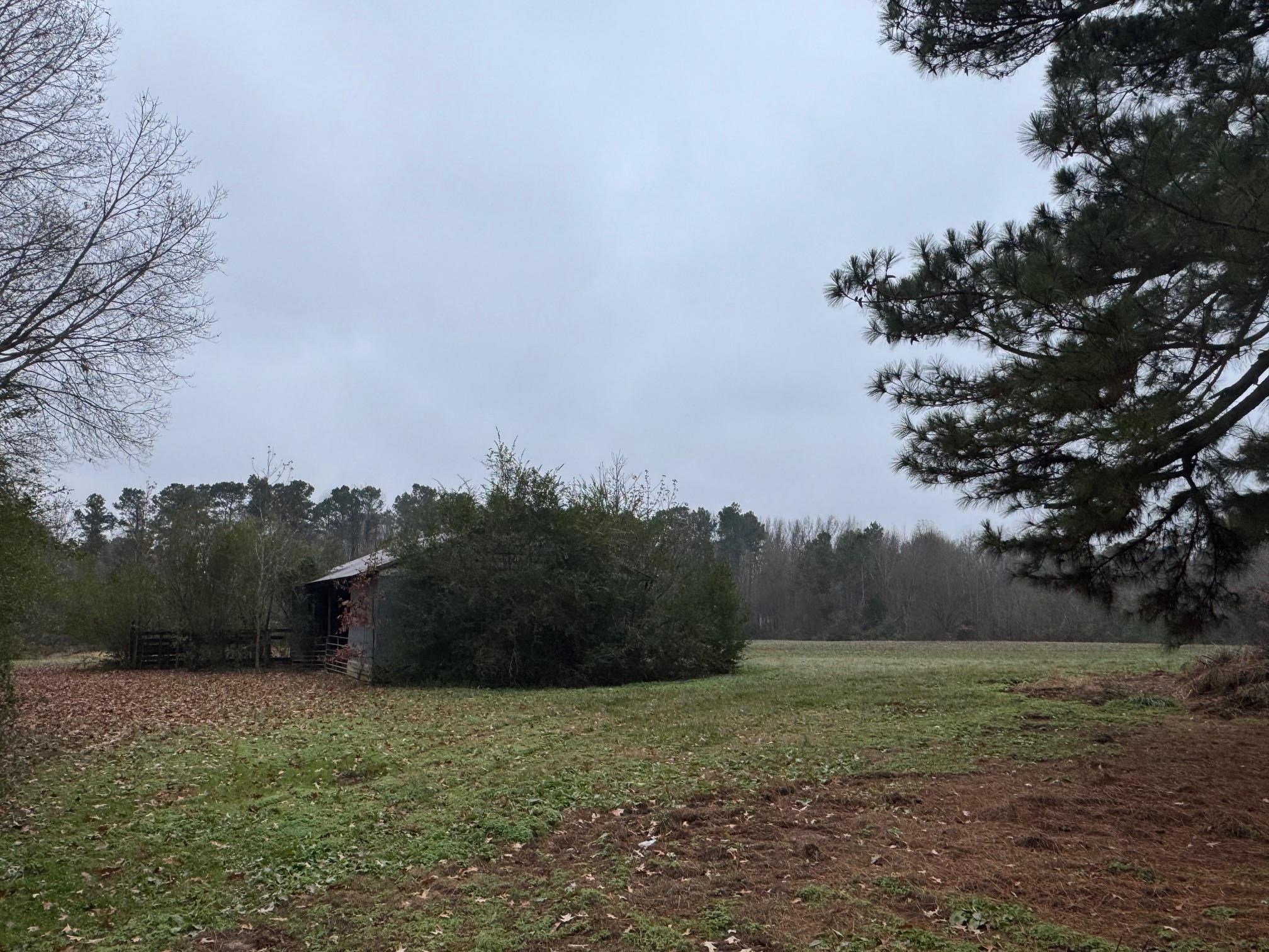 5893 Brighton-Clopton Road Brighton, TN 38011 - Photo 4 of 14 a big yard with lots of green space