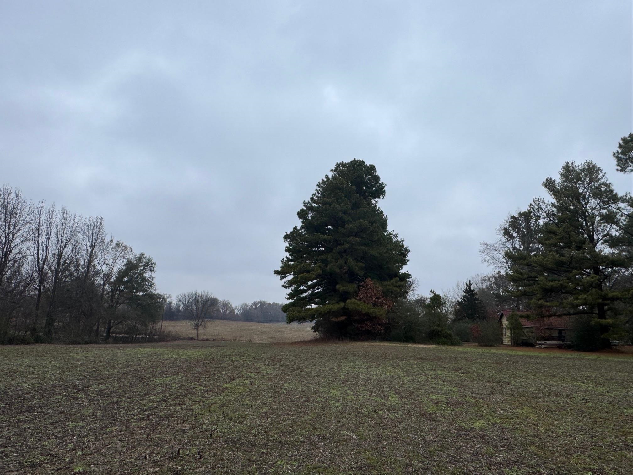 5893 Brighton-Clopton Road Brighton, TN 38011 - Photo 5 of 14