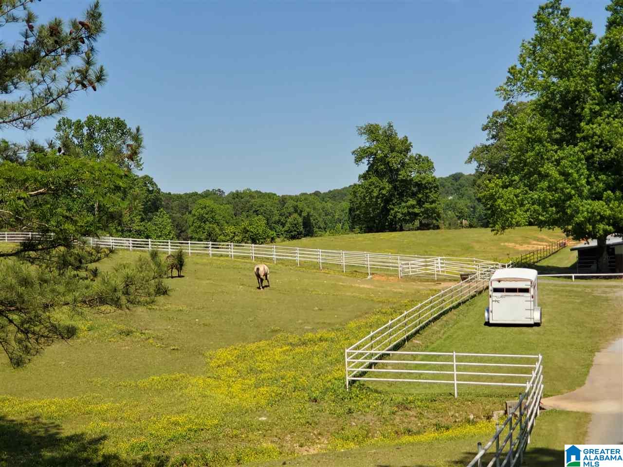 7023 Self Road Pinson, AL 35126 - Photo 35 of 36
