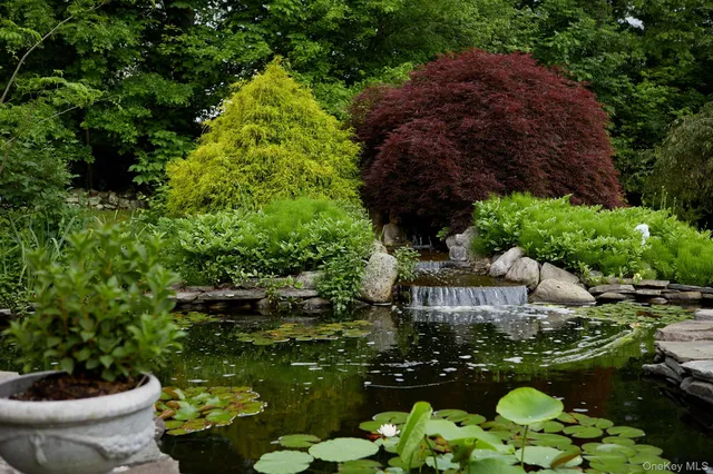 a view of flowers in a garden