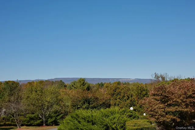 a view of a large building with a mountain in the background