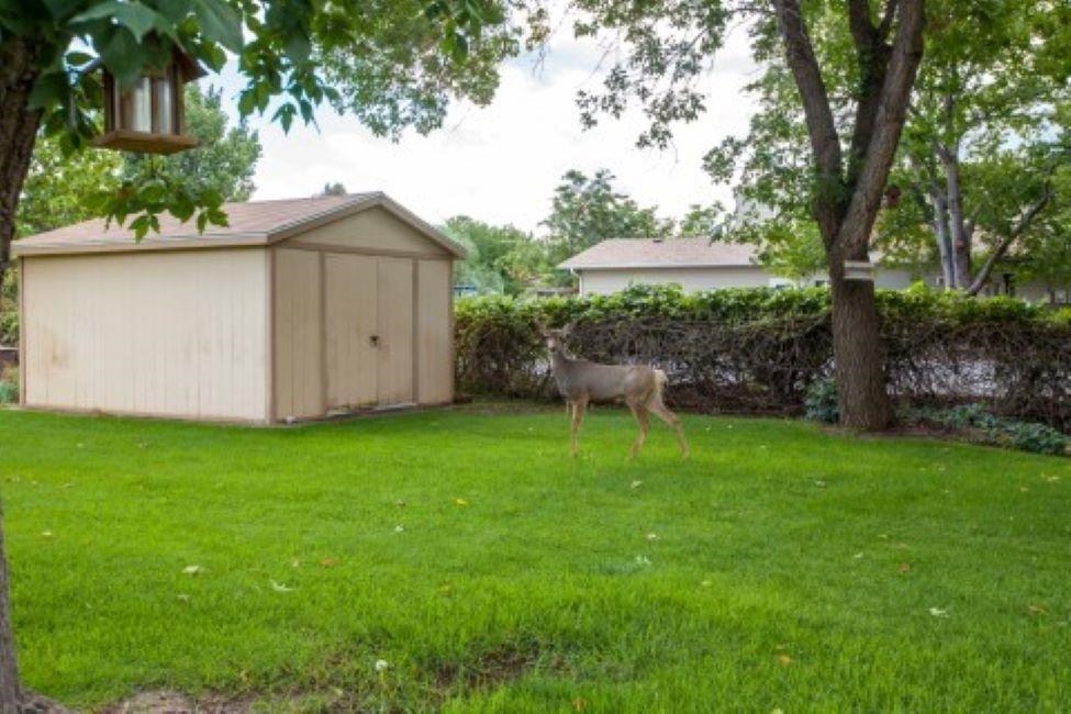 2255 Willowood Road Grand Junction, CO 81507 - Photo 7 of 39 Gallery Image 7