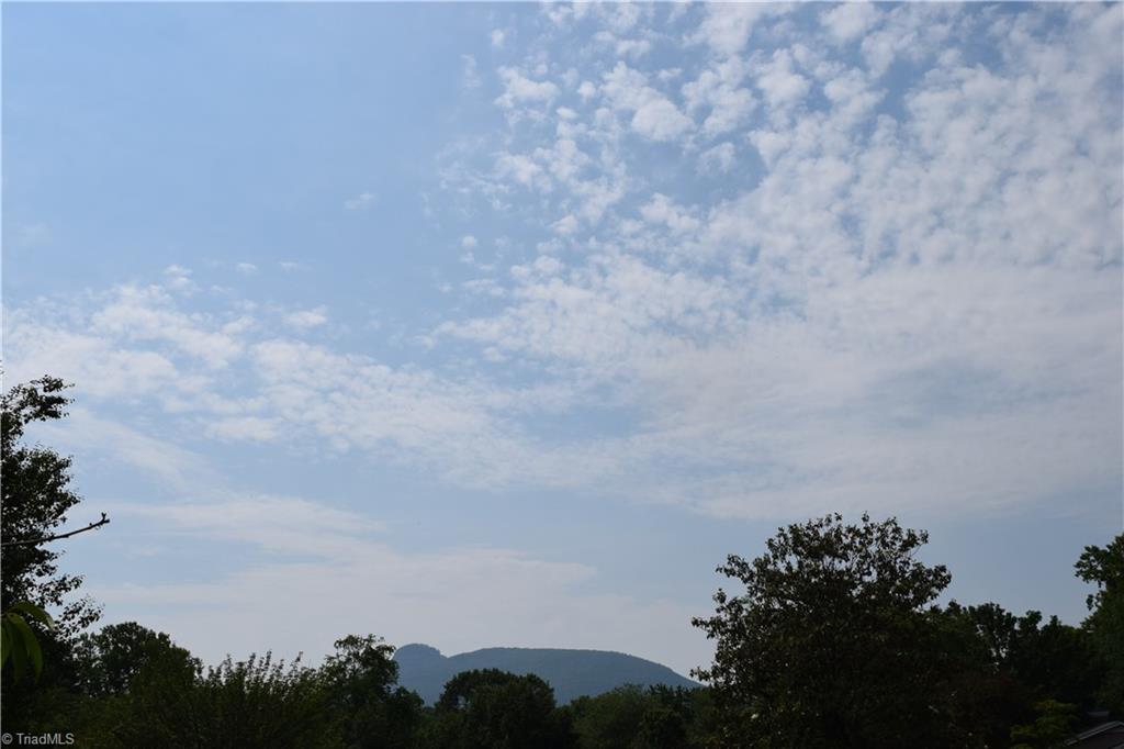 154 Pine Ridge Trail Pinnacle, NC 27043 - Photo 2 of 9