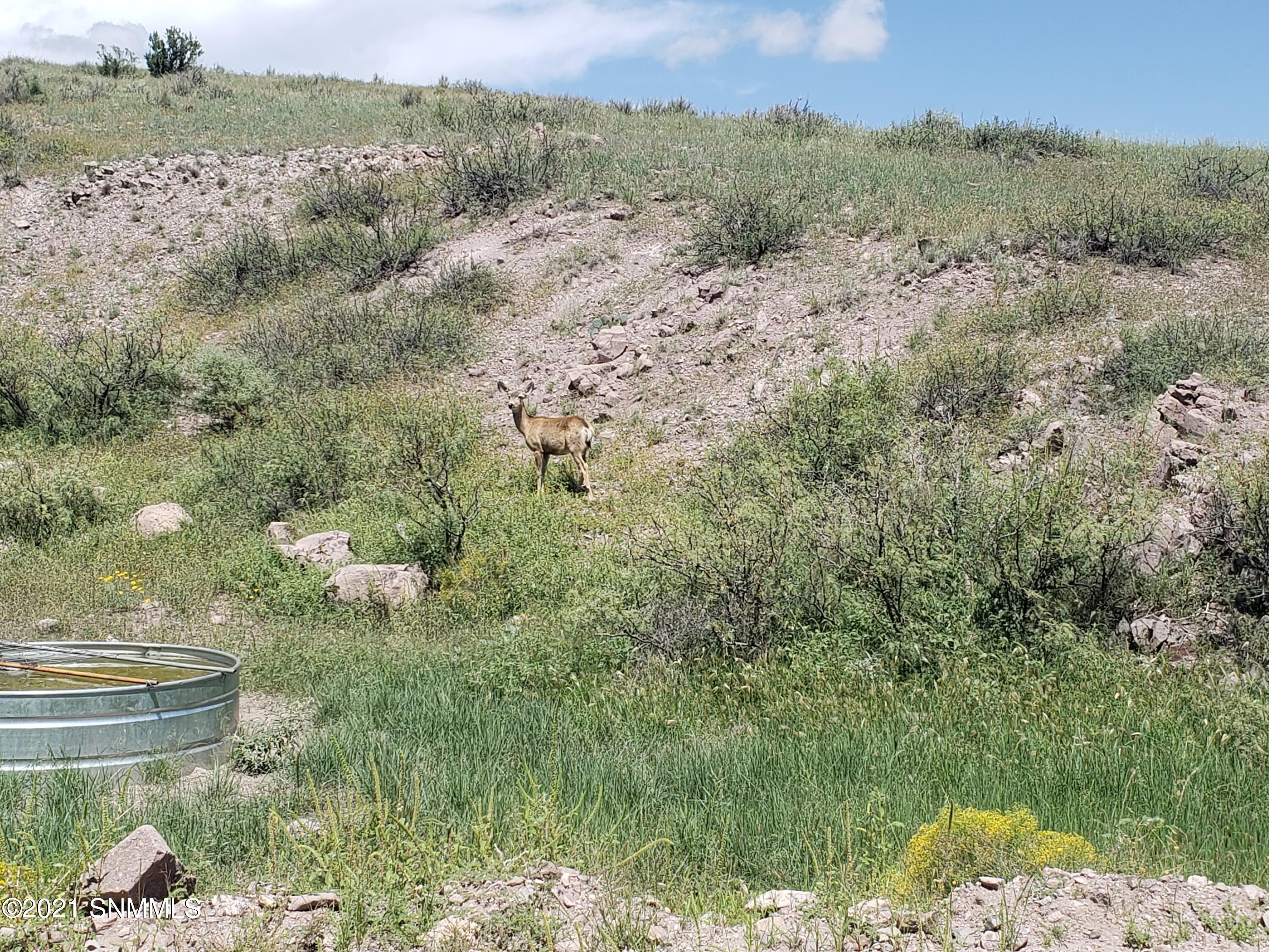 8 Child Of Water Road Hillsboro, NM 88042 - Photo 17 of 19 20210830_124344