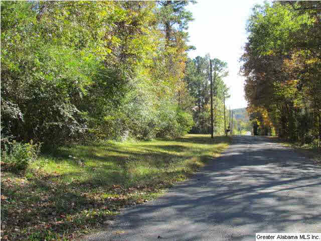 1576 Ray Wyatt Road, Unit 10 AC Ashville, AL 35953 - Photo 1 of 2