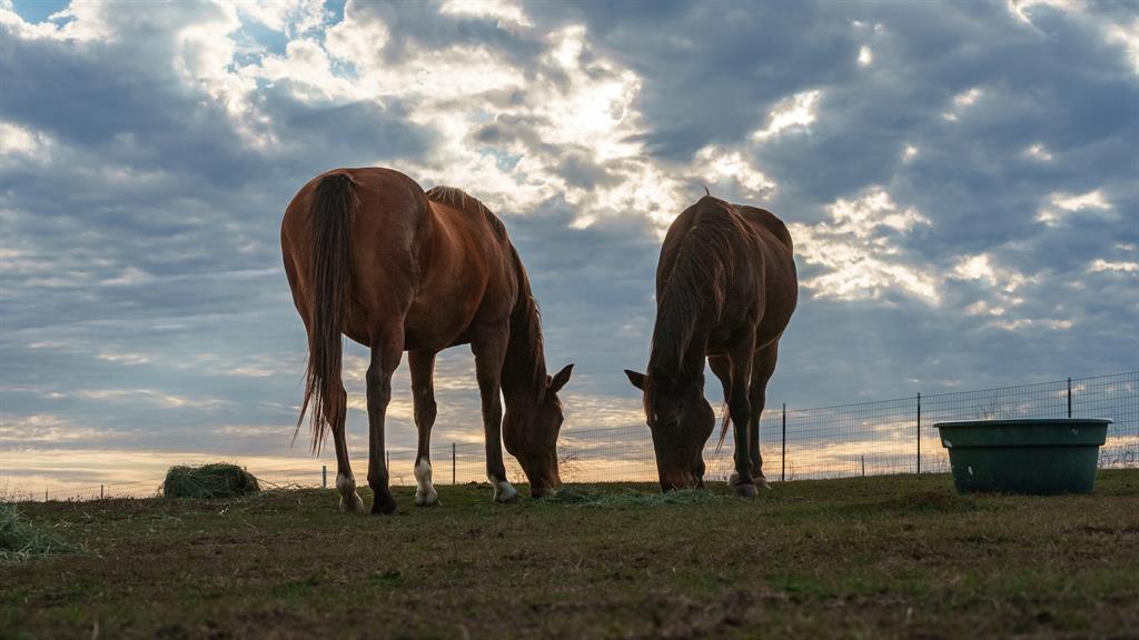 Tbd Pop Noah Road Collinsville, TX 76233 - Photo 6 of 15