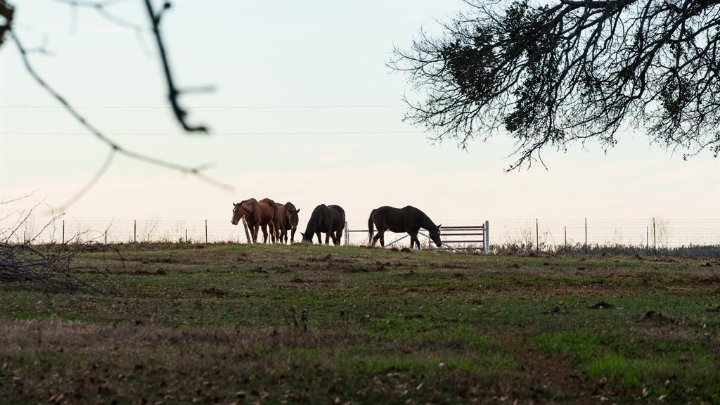 Tbd Pop Noah Road Collinsville, TX 76233 - Photo 7 of 15