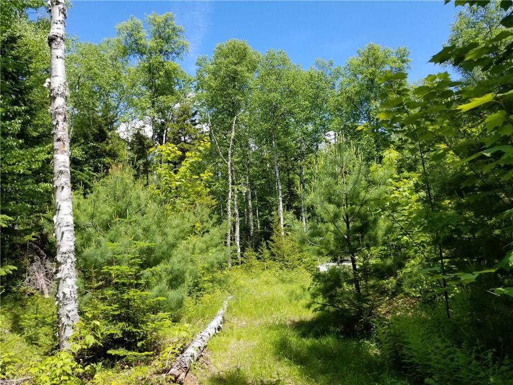 Lot 21 Pebble Beach Road Greenville, ME 04441 - Photo 2 of 5 Photo