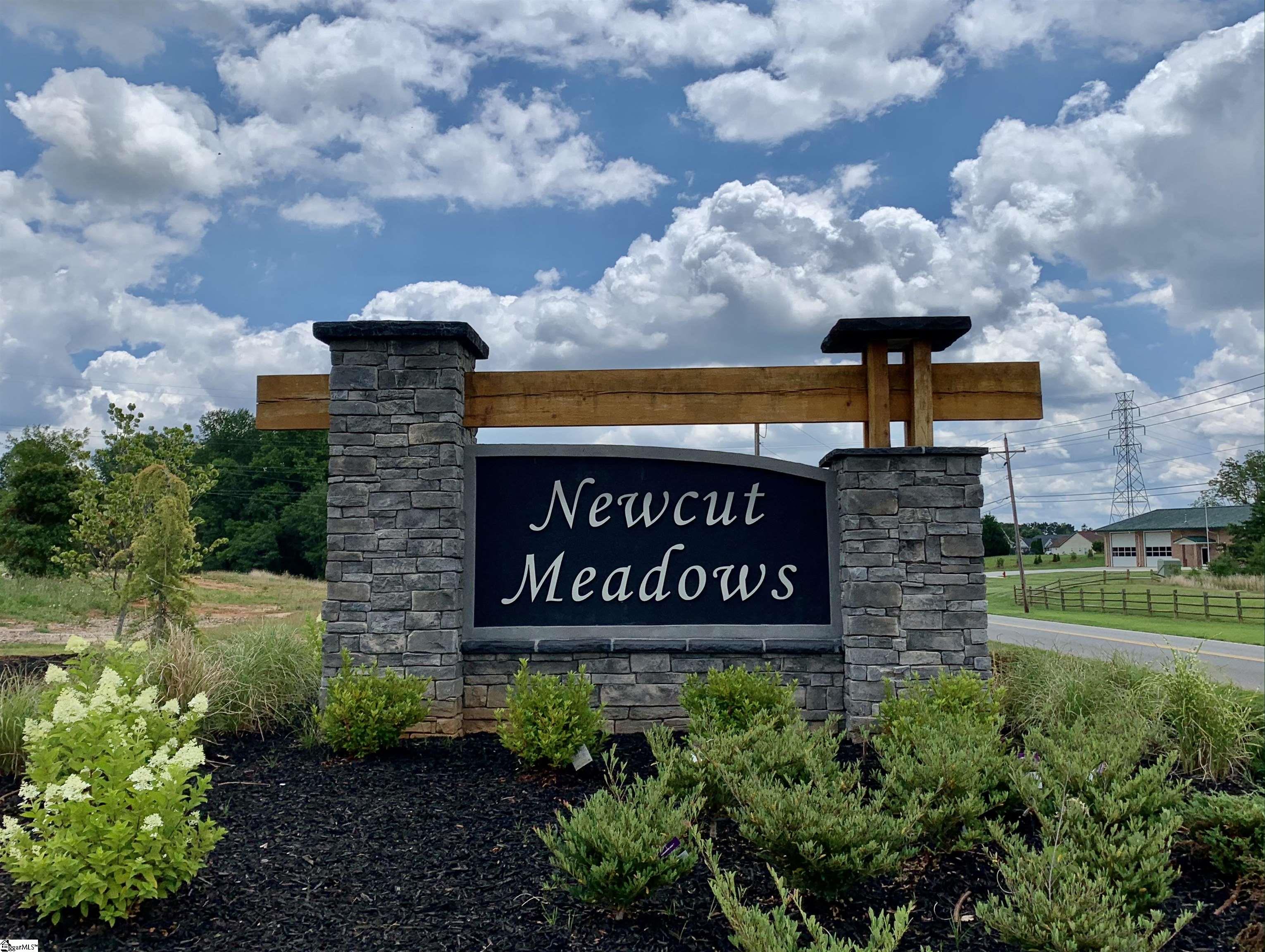 570 New Cut Meadows Road, Unit HOMESITE 48 Inman, SC 29349 - Photo 2 of 20