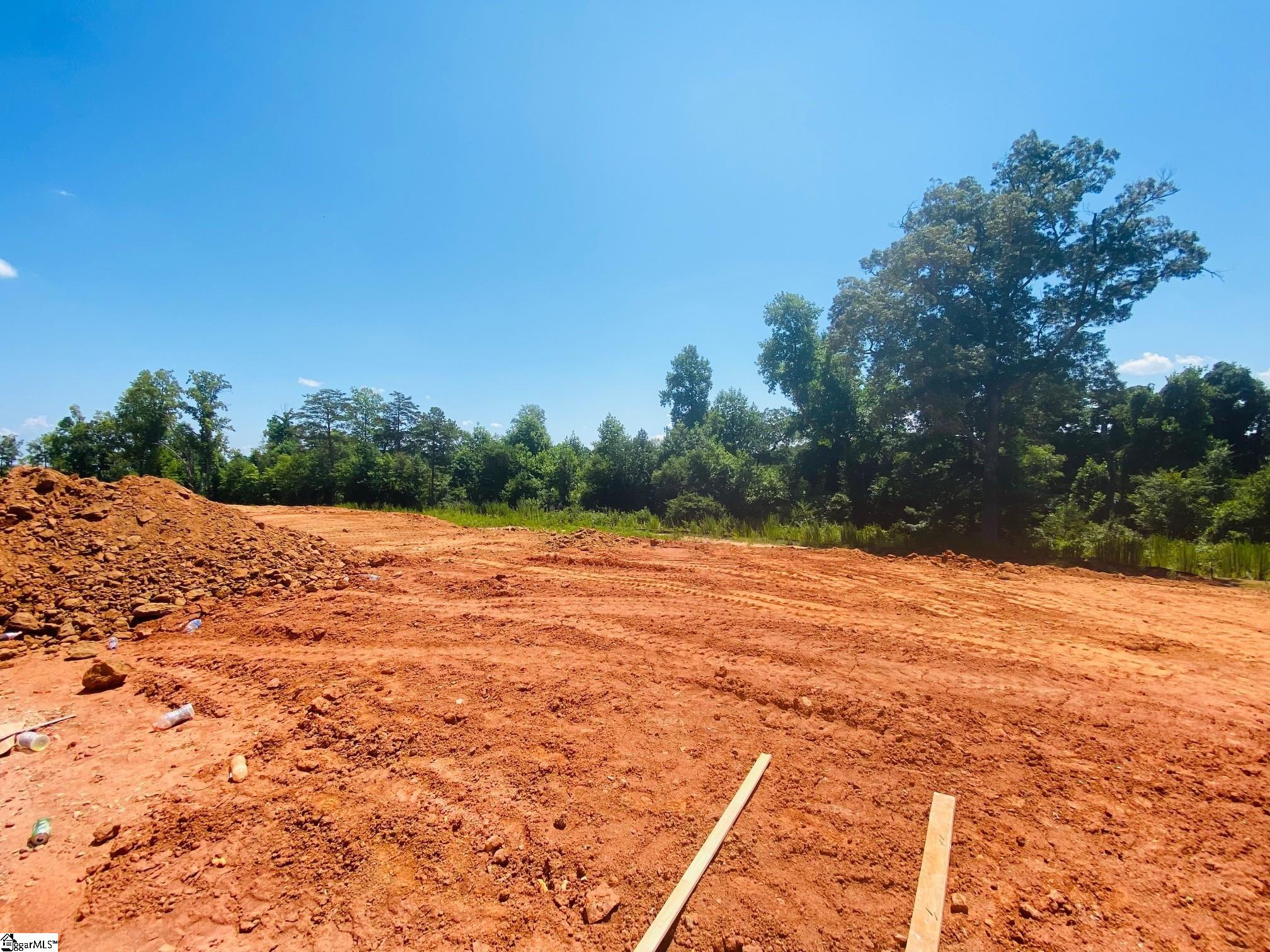 570 New Cut Meadows Road, Unit HOMESITE 48 Inman, SC 29349 - Photo 5 of 20