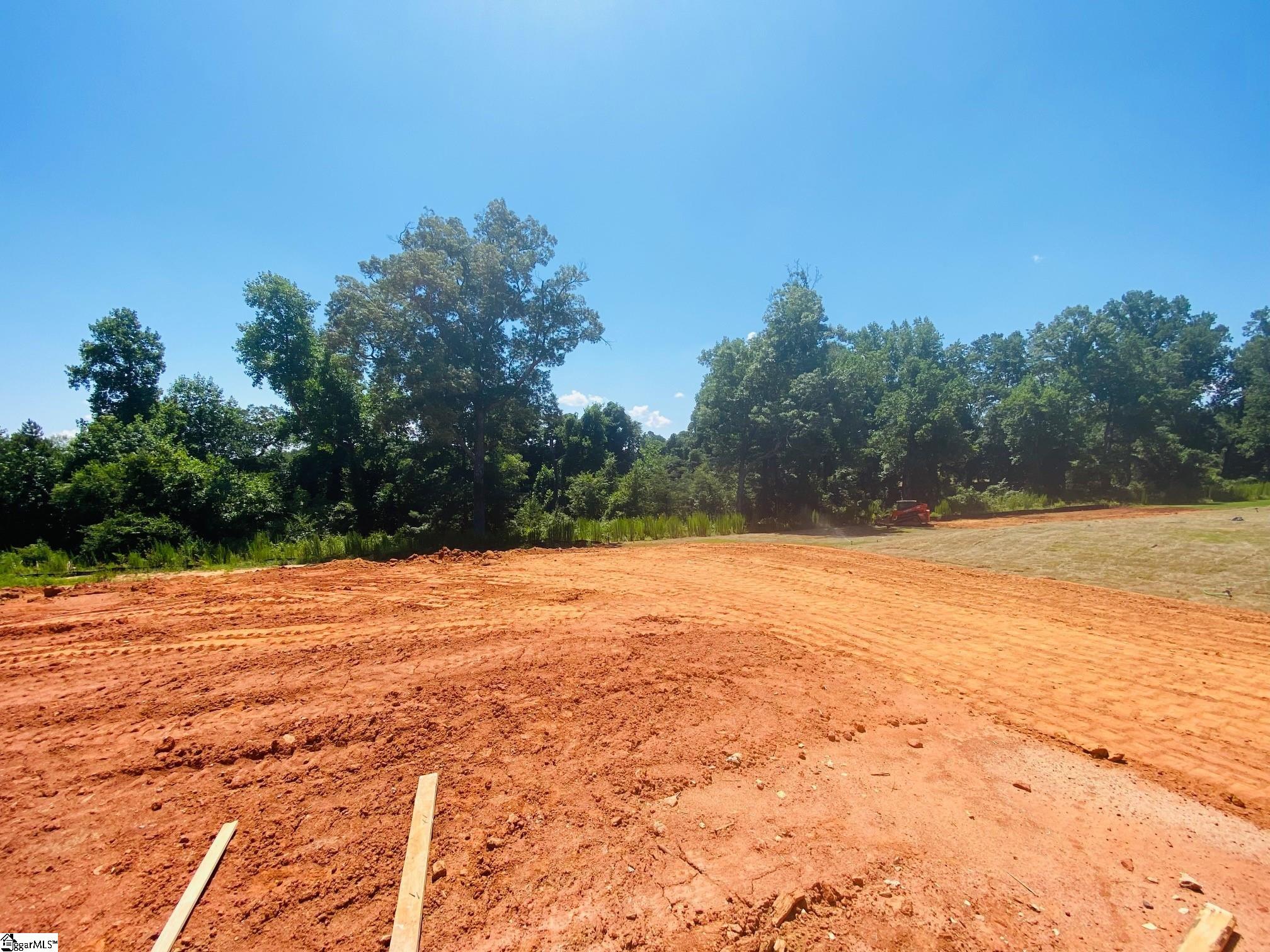 570 New Cut Meadows Road, Unit HOMESITE 48 Inman, SC 29349 - Photo 6 of 20