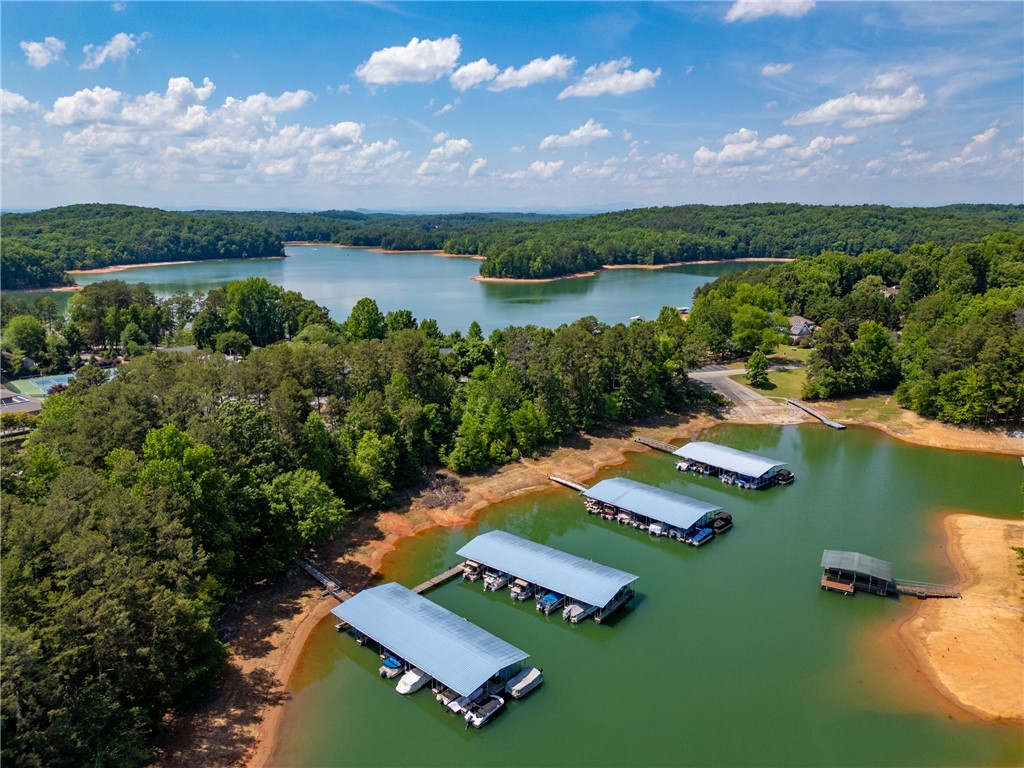 502 Point Road Westminster, SC 29693 - Photo 48 of 49 Boasting vast lake views with multiple private docks and lush surrounding woodlands.