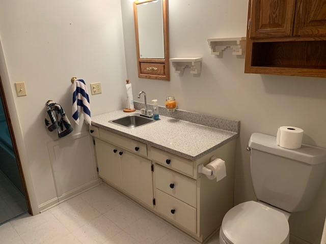 6645 East Territorial Road Munith, MI 49259 - Photo 29 of 39 Photo 29