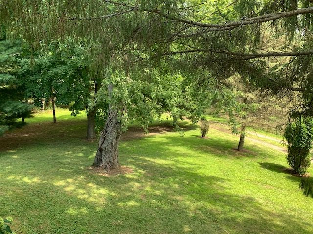 6645 East Territorial Road Munith, MI 49259 - Photo 34 of 39 Photo 34