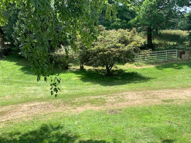 6645 East Territorial Road Munith, MI 49259 - Photo 35 of 39 Photo 35