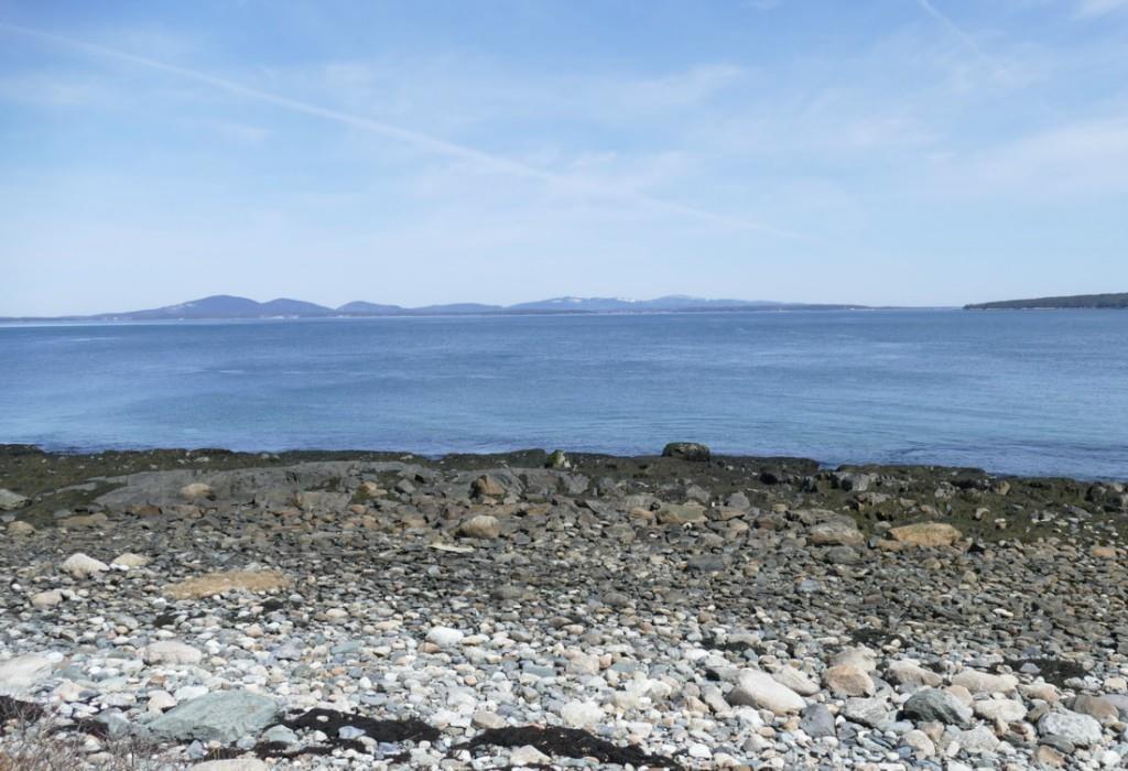 124 Atlantic Loop Road Swans Island, ME 04685 - Photo 12 of 24 Photo