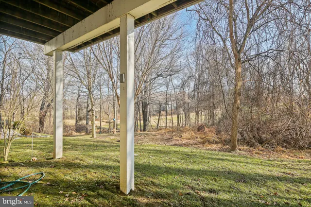 a view of a back yard