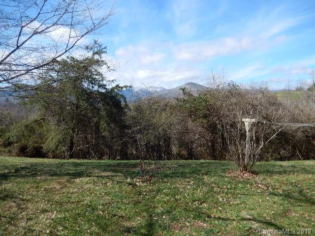 348 Sandy Bottom Road Marshall, NC 28753 - Photo 4 of 17