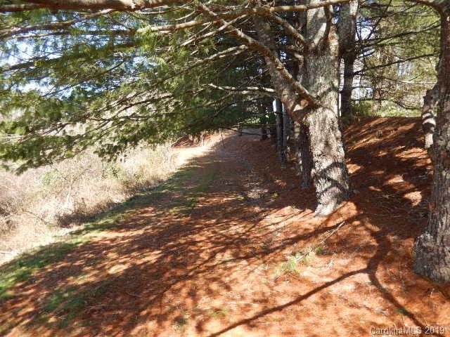 348 Sandy Bottom Road Marshall, NC 28753 - Photo 5 of 17
