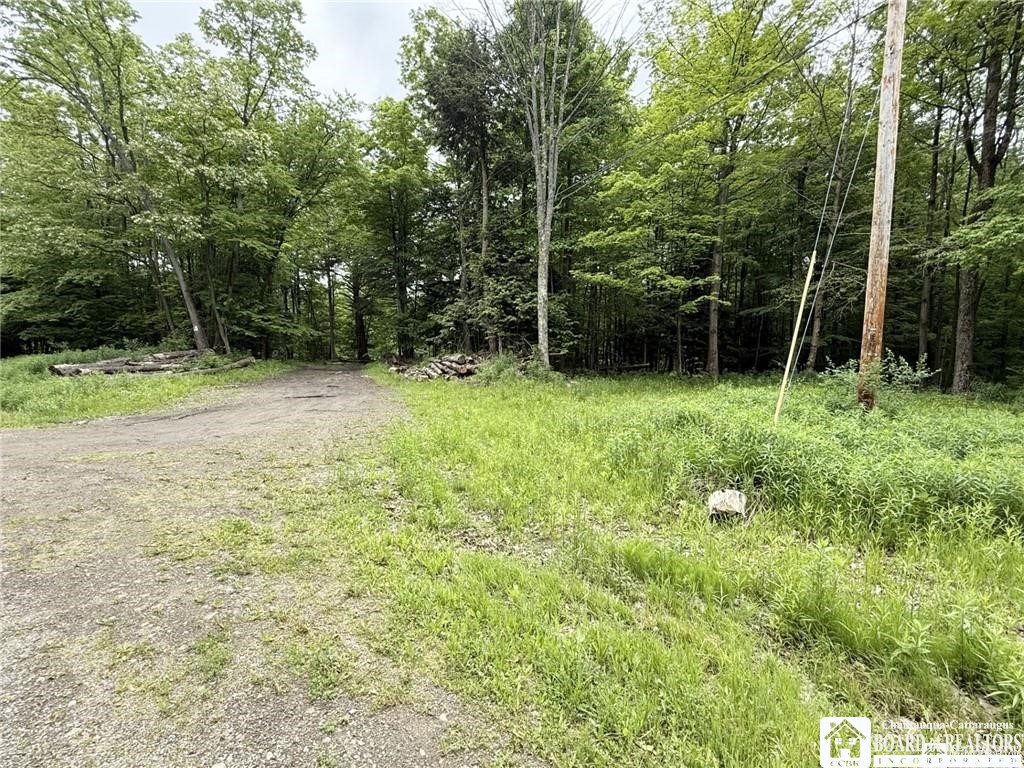 0 Luce Road Bemus Point, NY 14712 - Photo 17 of 39
