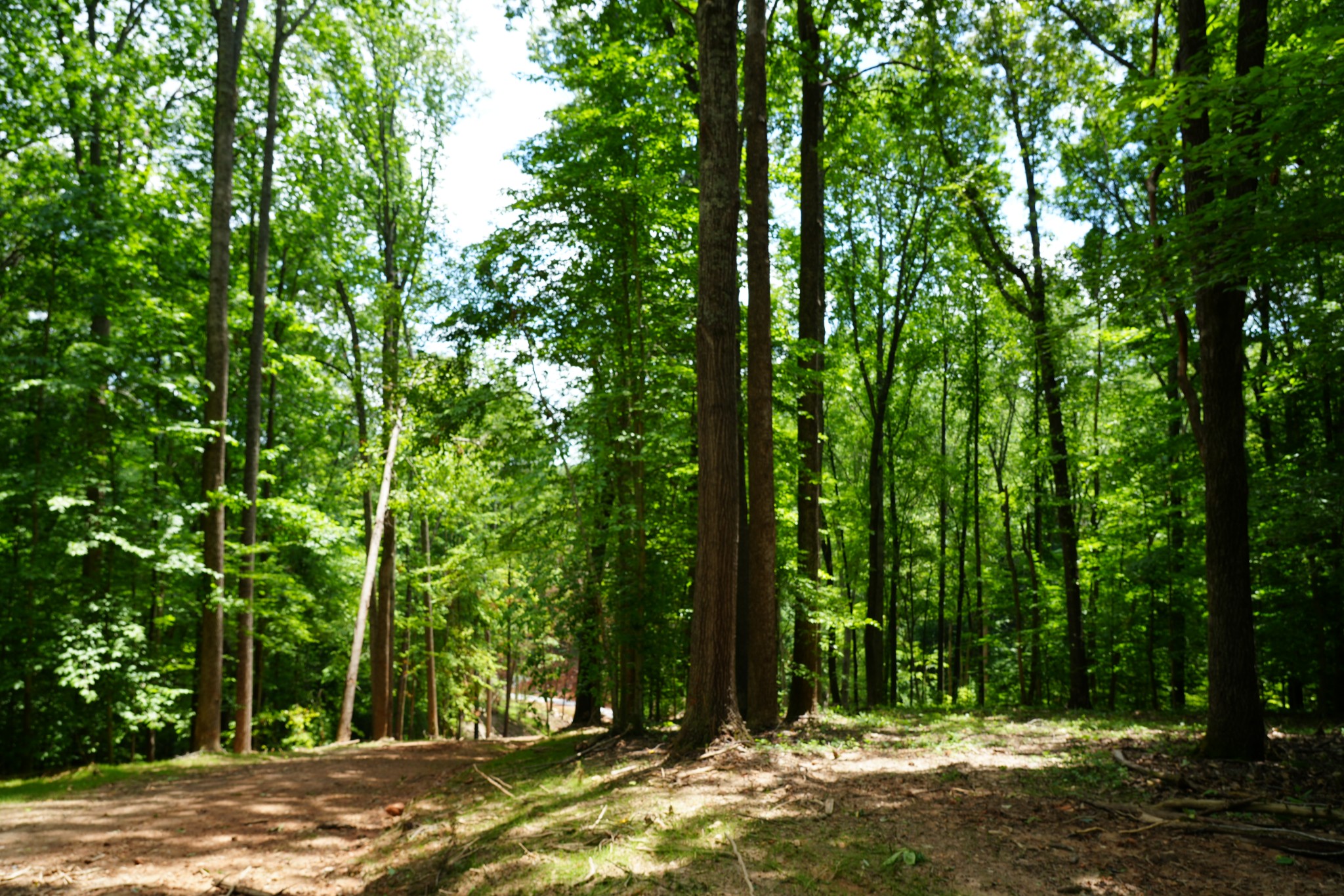 1 Budds Creek Road Palmyra, TN 37142 - Photo 51 of 76