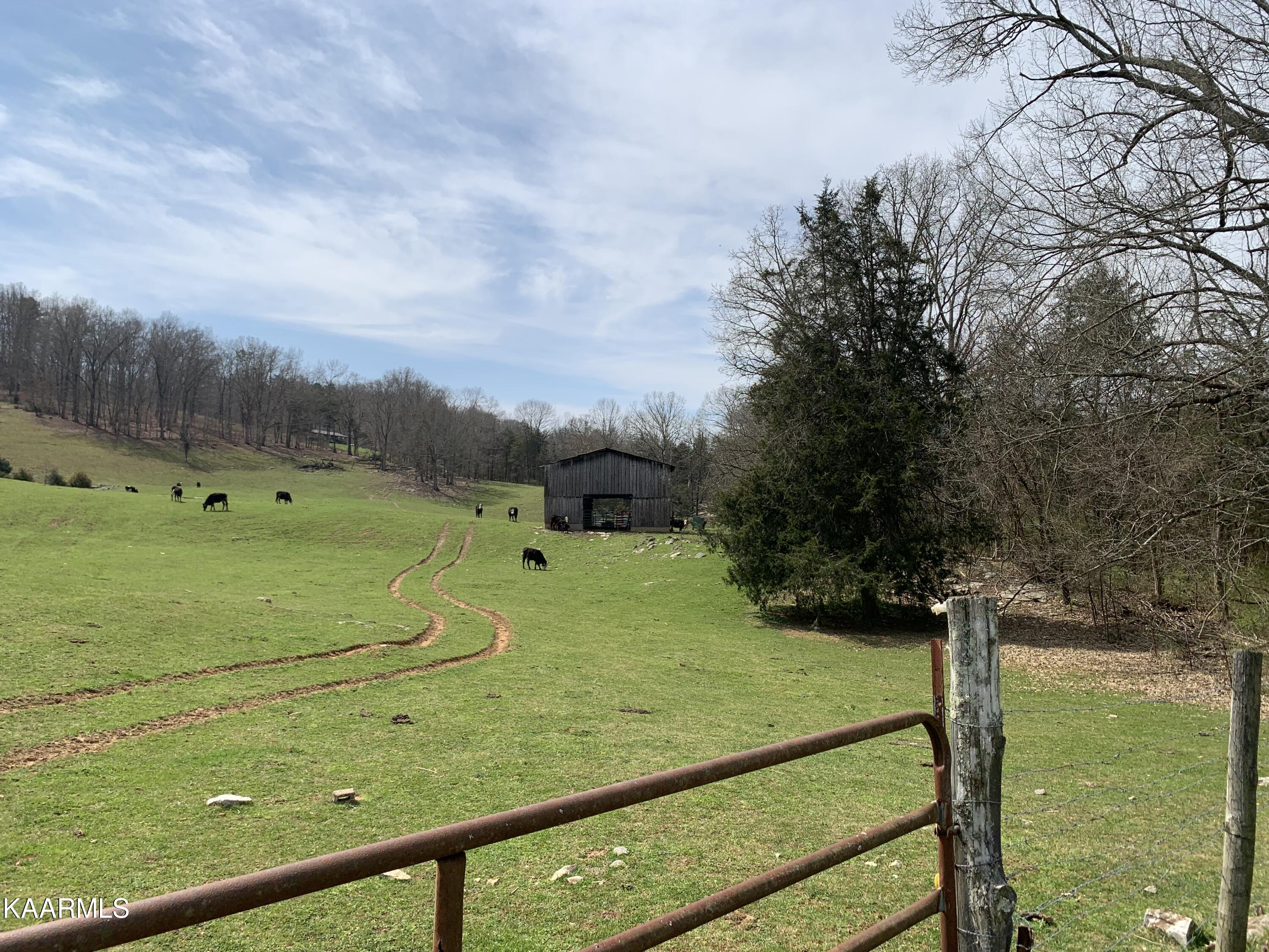 840 Blue Top Road Tazewell, TN 37879 - Photo 14 of 55 A6789CC4-1168-42E7-B600-74DC08A5116F