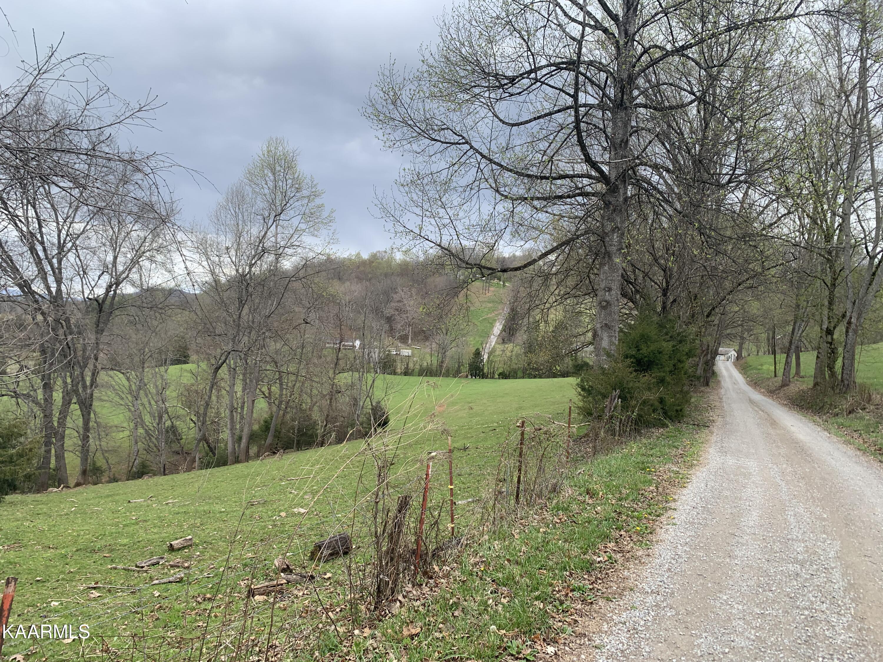 840 Blue Top Road Tazewell, TN 37879 - Photo 42 of 55 3495FD4F-909A-4A68-B5BF-43814710FB07