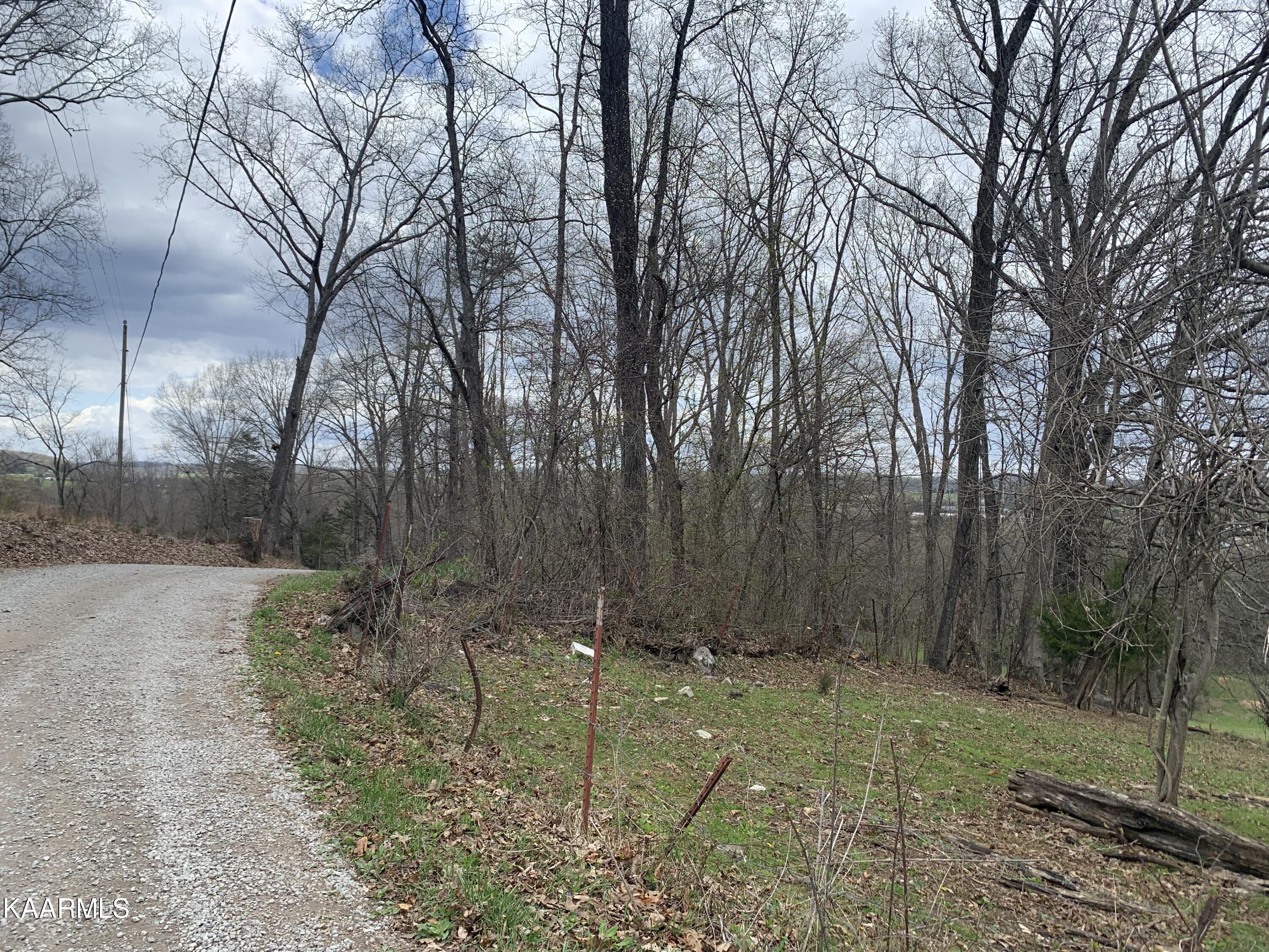 840 Blue Top Road Tazewell, TN 37879 - Photo 43 of 55 307B9E59-7BCE-47BF-A6E4-DA3DDB15FDD2